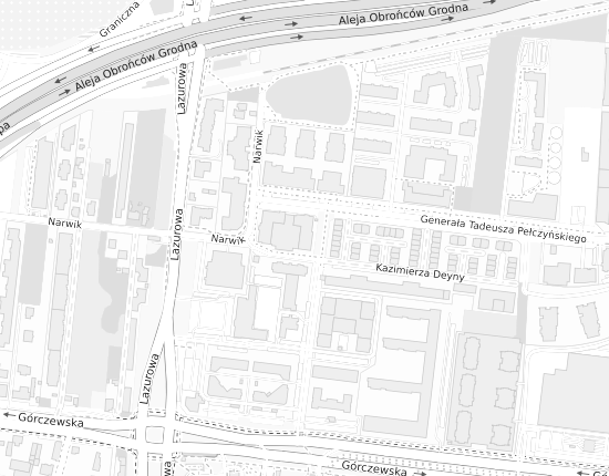 Mapa z adresem organizacji