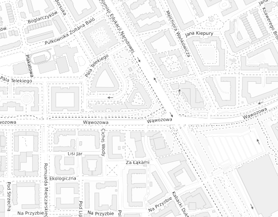 Mapa z adresem organizacji