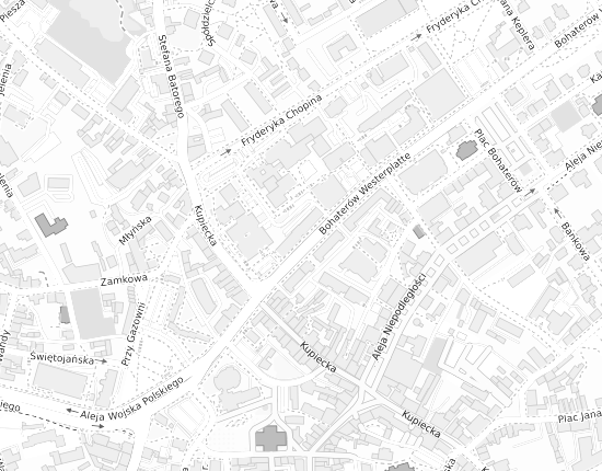 Mapa z adresem organizacji