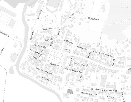 Mapa z adresem organizacji