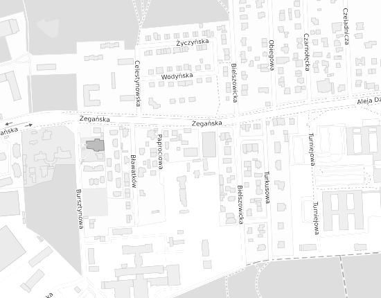 Mapa z adresem organizacji