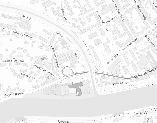 Mapa z adresem organizacji
