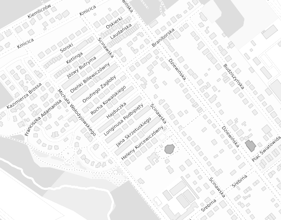 Mapa z adresem organizacji