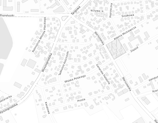 Mapa z adresem organizacji