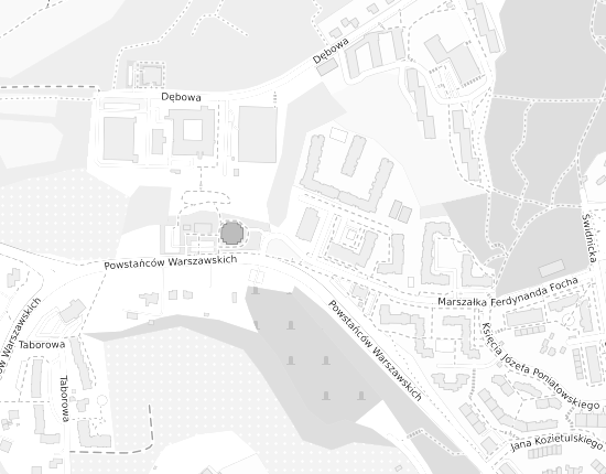 Mapa z adresem organizacji