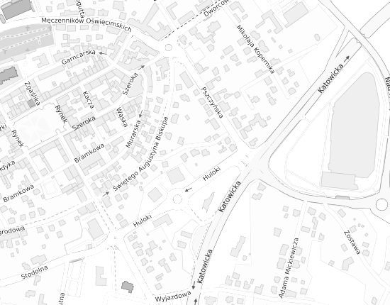 Mapa z adresem organizacji