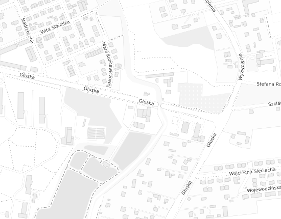 Mapa z adresem organizacji