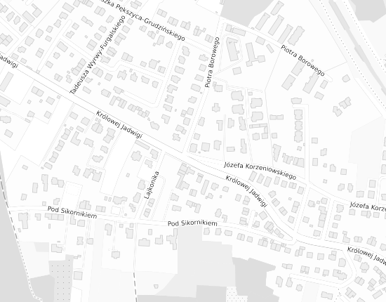 Mapa z adresem organizacji