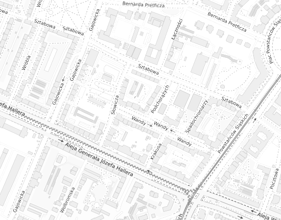 Mapa z adresem organizacji