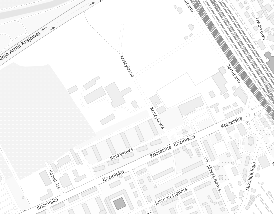 Mapa z adresem organizacji