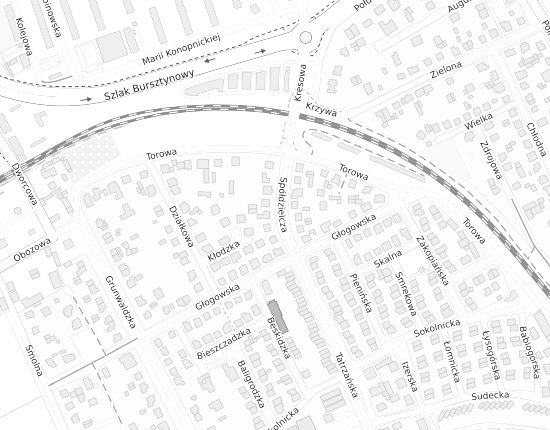 Mapa z adresem organizacji