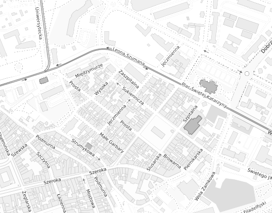 Mapa z adresem organizacji