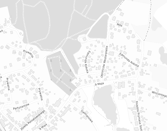 Mapa z adresem organizacji