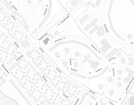 Mapa z adresem organizacji