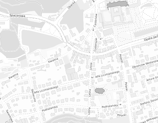 Mapa z adresem organizacji