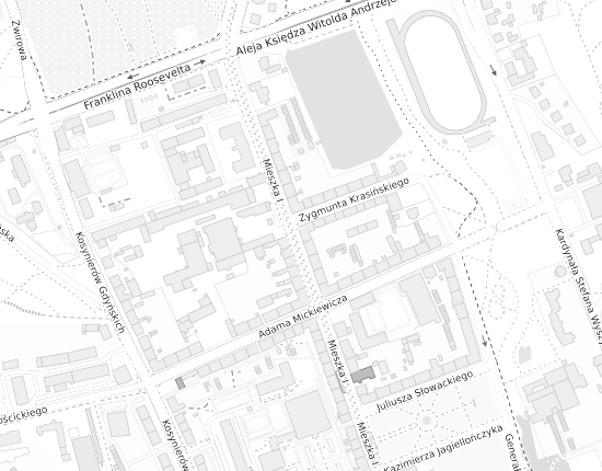 Mapa z adresem organizacji