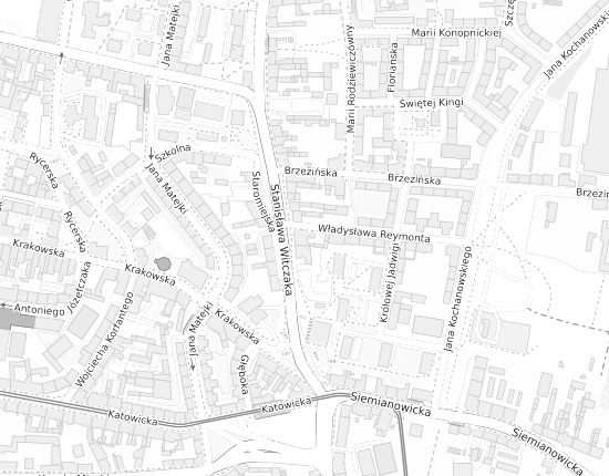 Mapa z adresem organizacji