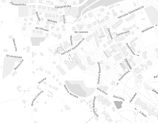 Mapa z adresem organizacji