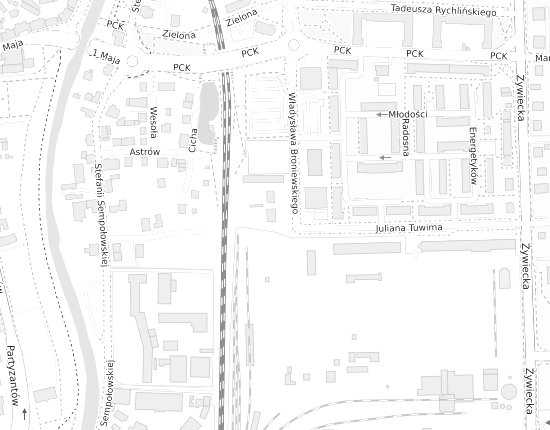 Mapa z adresem organizacji