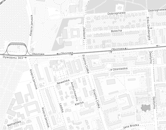 Mapa z adresem organizacji