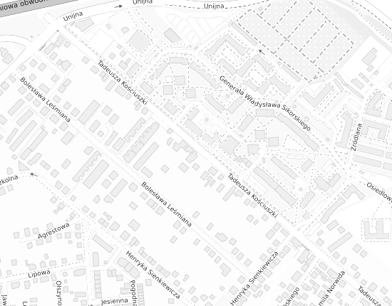 Mapa z adresem organizacji