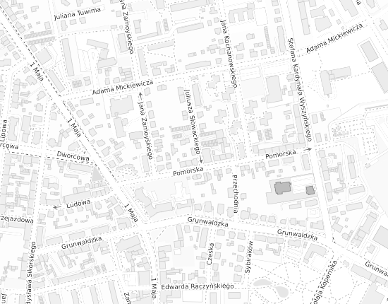Mapa z adresem organizacji