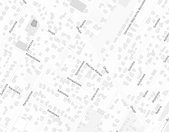 Mapa z adresem organizacji