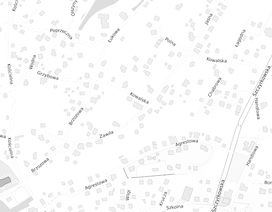 Mapa z adresem organizacji