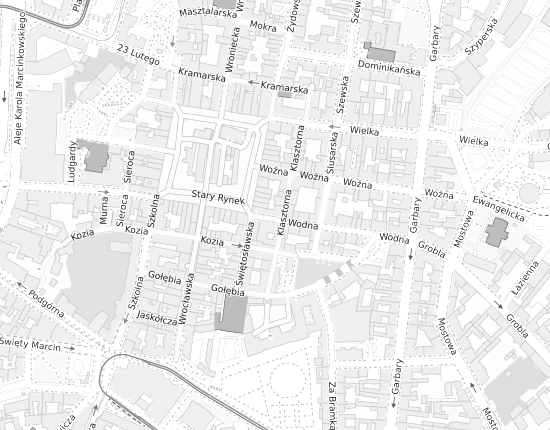 Mapa z adresem organizacji
