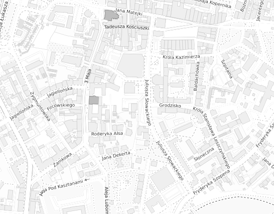 Mapa z adresem organizacji