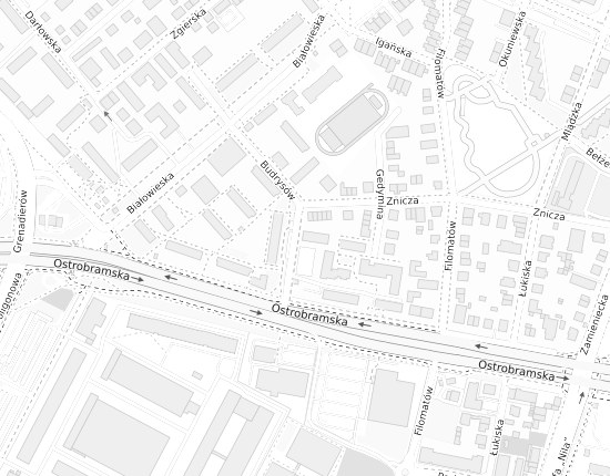 Mapa z adresem organizacji