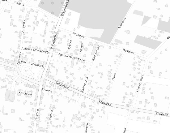 Mapa z adresem organizacji