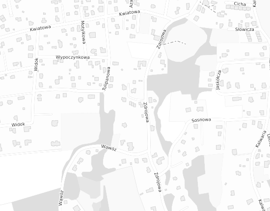 Mapa z adresem organizacji