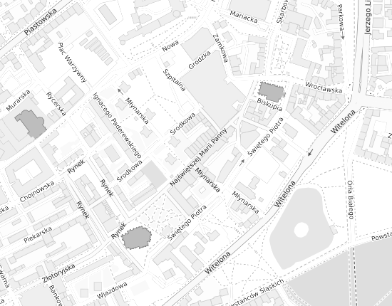 Mapa z adresem organizacji