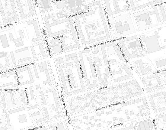 Mapa z adresem organizacji