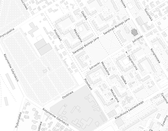 Mapa z adresem organizacji