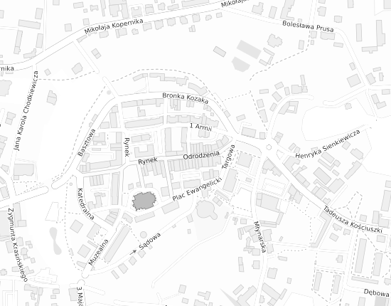 Mapa z adresem organizacji