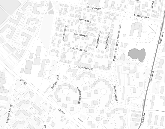 Mapa z adresem organizacji