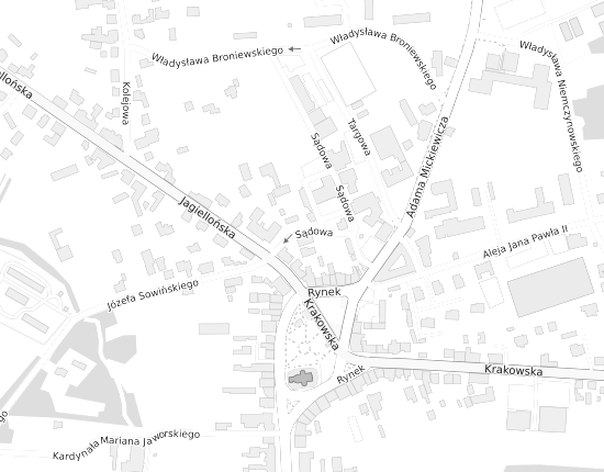Mapa z adresem organizacji