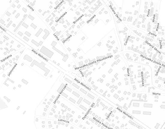 Mapa z adresem organizacji