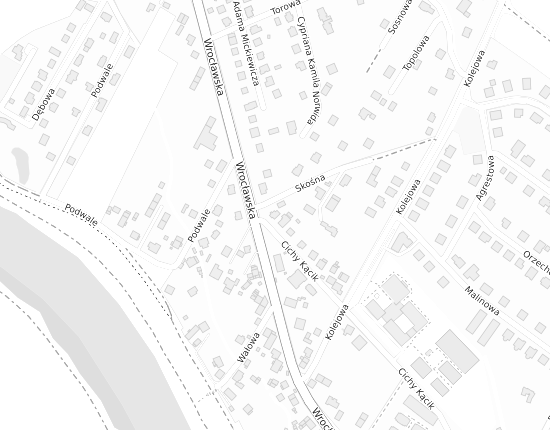 Mapa z adresem organizacji