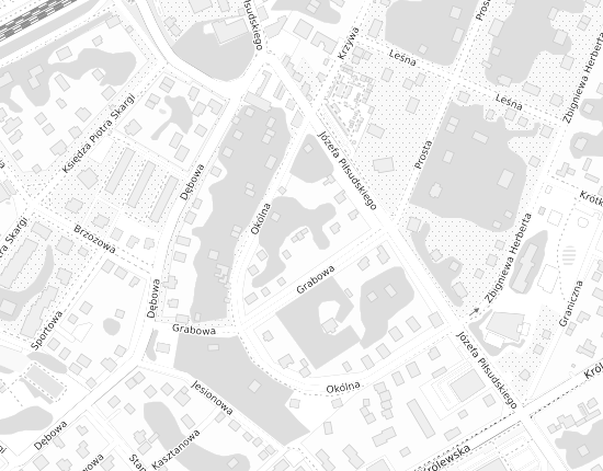 Mapa z adresem organizacji