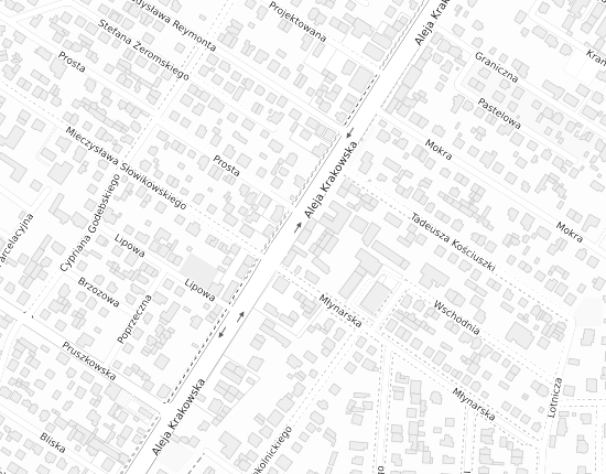 Mapa z adresem organizacji