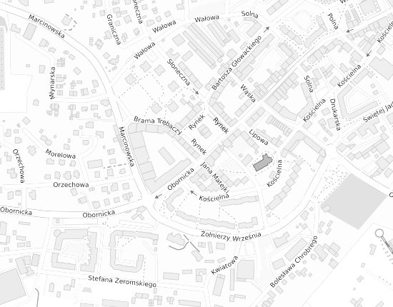 Mapa z adresem organizacji