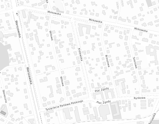 Mapa z adresem organizacji