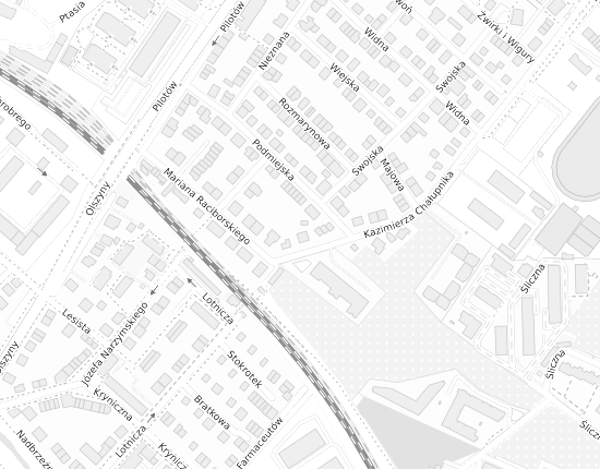 Mapa z adresem organizacji