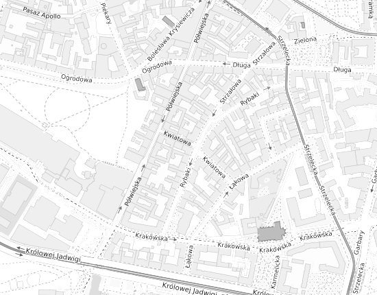 Mapa z adresem organizacji