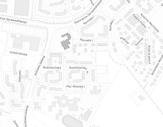 Mapa z adresem organizacji