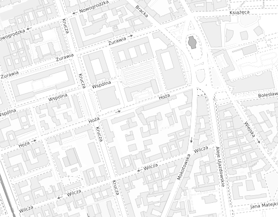 Mapa z adresem organizacji