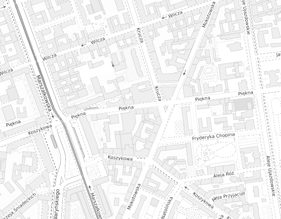 Mapa z adresem organizacji